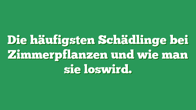 Die Häufigsten Schädlinge Bei Zimmerpflanzen Und Wie Man Sie Loswird ...