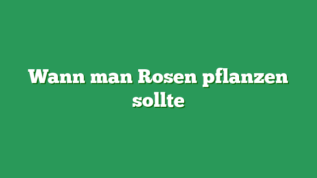 Wann Man Rosen Pflanzen Sollte - Pflanzen Palast